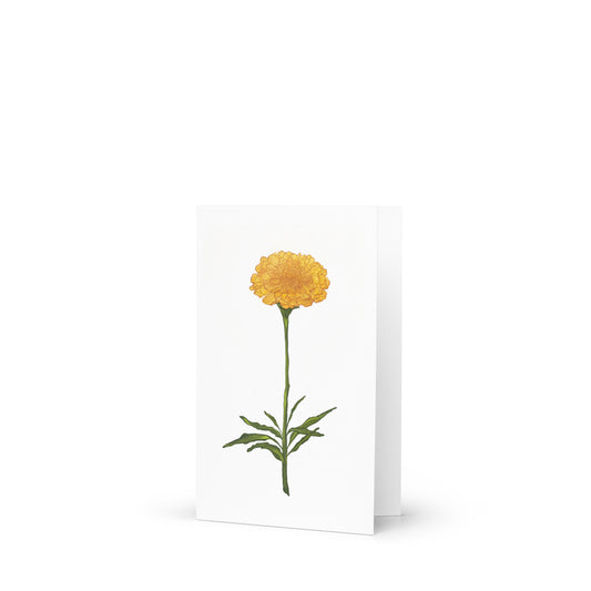 Marigold Blank Greeting Card