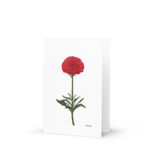 Red Zinnia Greeting Card